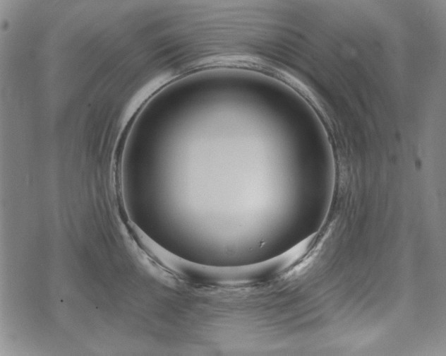 X0000073451050200608041023