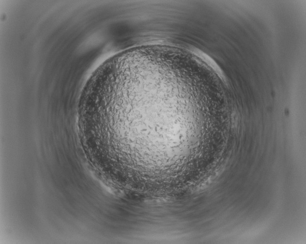 X0000073451051200608041023