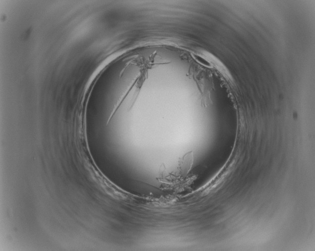 X0000073451052200608041023