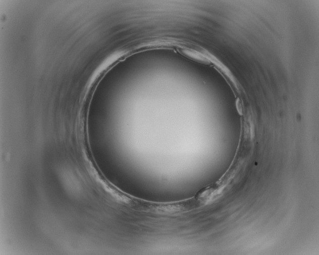 X0000073451053200608041023