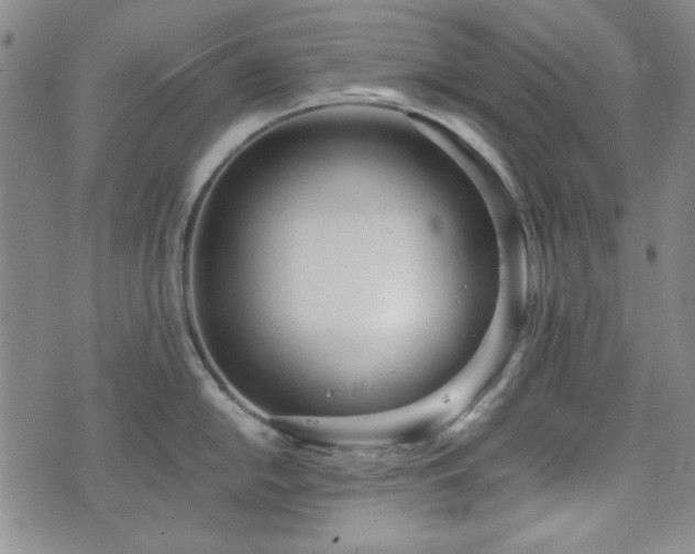 X0000073451054200608041023