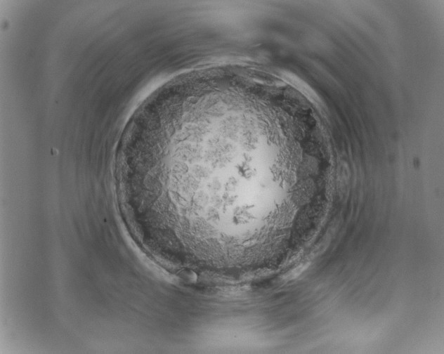 X0000073451055200608041023