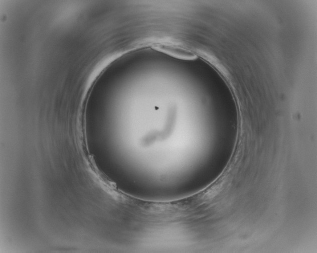 X0000073451056200608041023