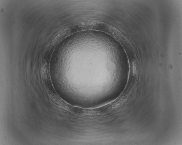 X0000073451059200608041022