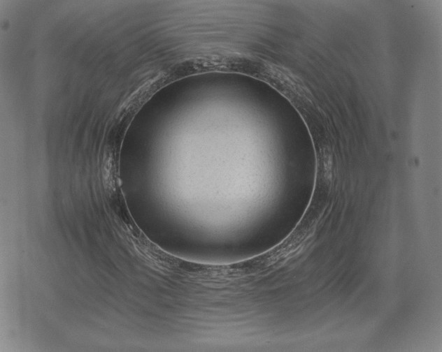 X0000073451060200608041022