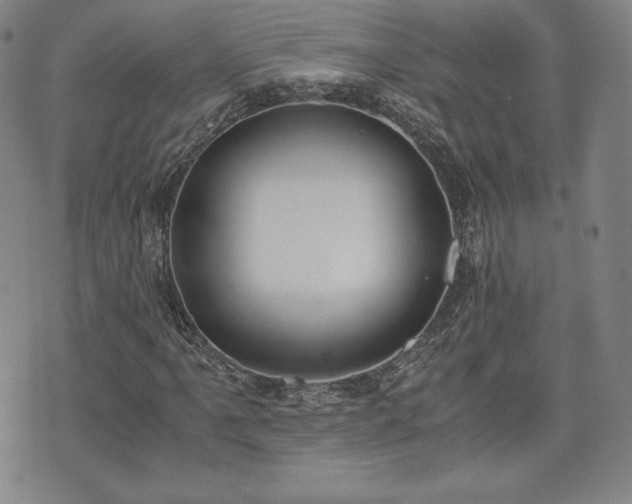 X0000073451061200608041022