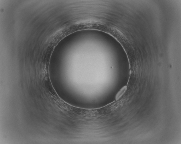 X0000073451062200608041022