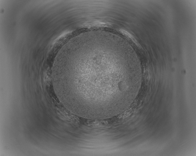 X0000073451063200608041022