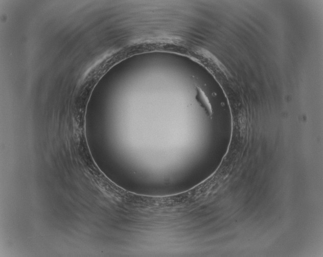 X0000073451064200608041022