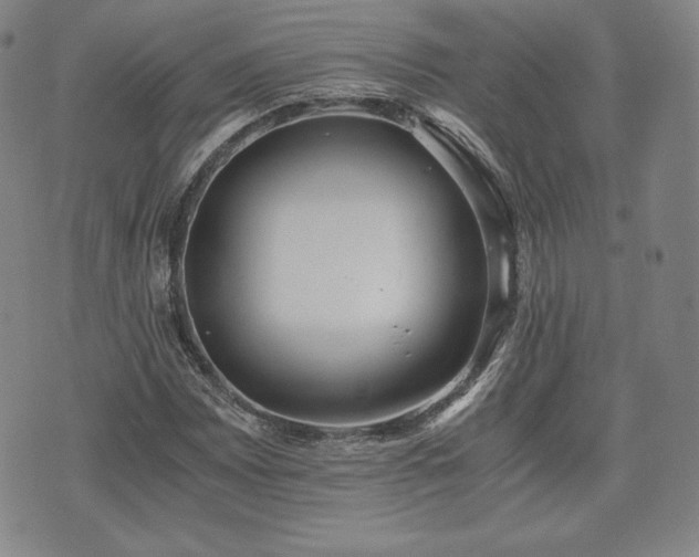 X0000073451065200608041022