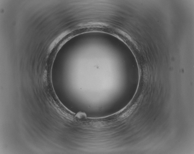 X0000073451066200608041022