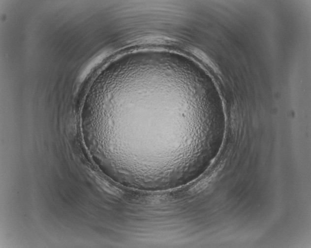 X0000073451067200608041022