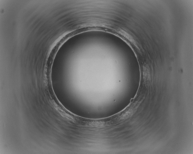 X0000073451068200608041022