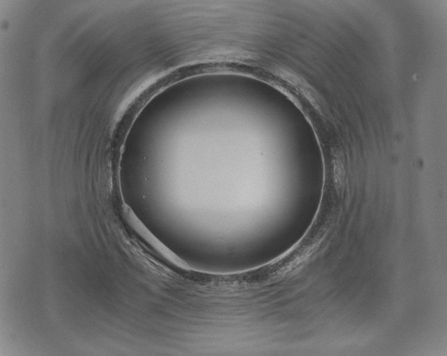 X0000073451069200608041022