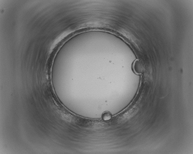 X0000073451070200608041022