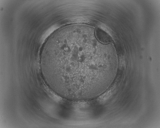 X0000073451071200608041022