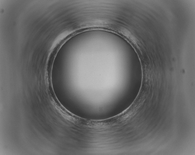 X0000073451072200608041022