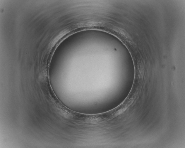 X0000073451073200608041022