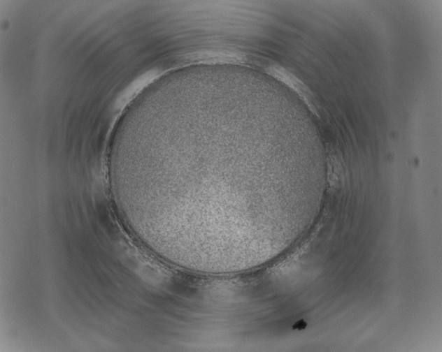 X0000073451074200608041022