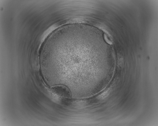 X0000073451075200608041022