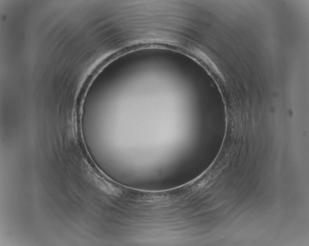 X0000073451076200608041022