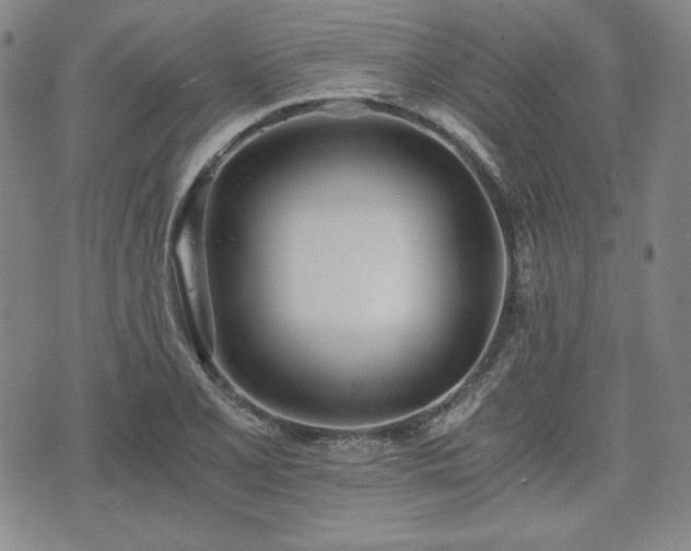 X0000073451077200608041022