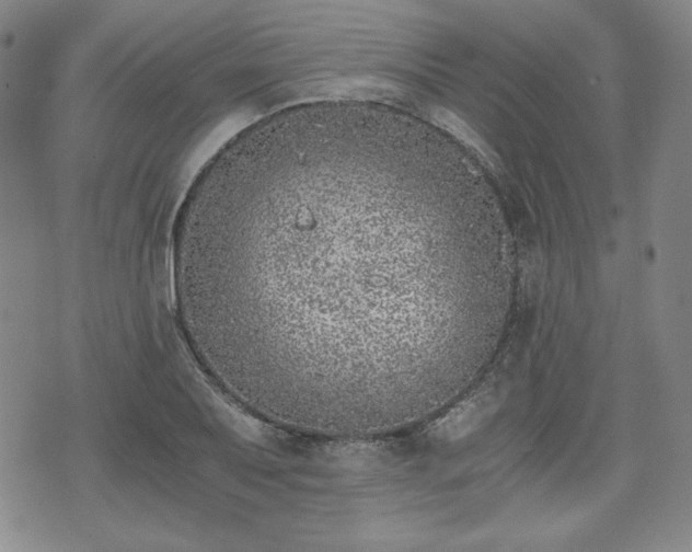 X0000073451079200608041022