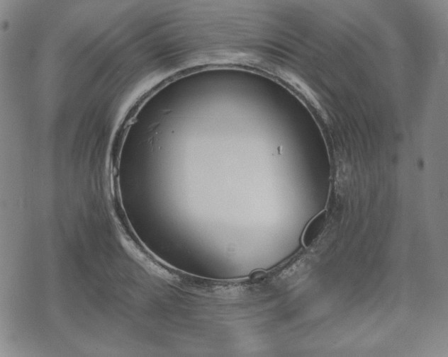 X0000073451080200608041022