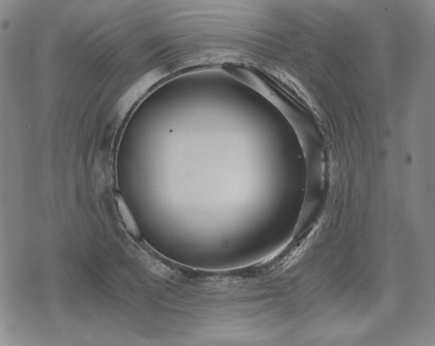 X0000073451081200608041022