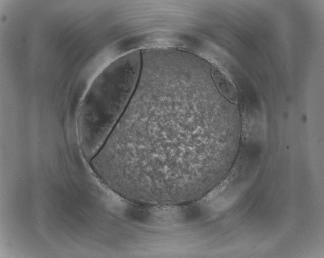 X0000073451083200608041022