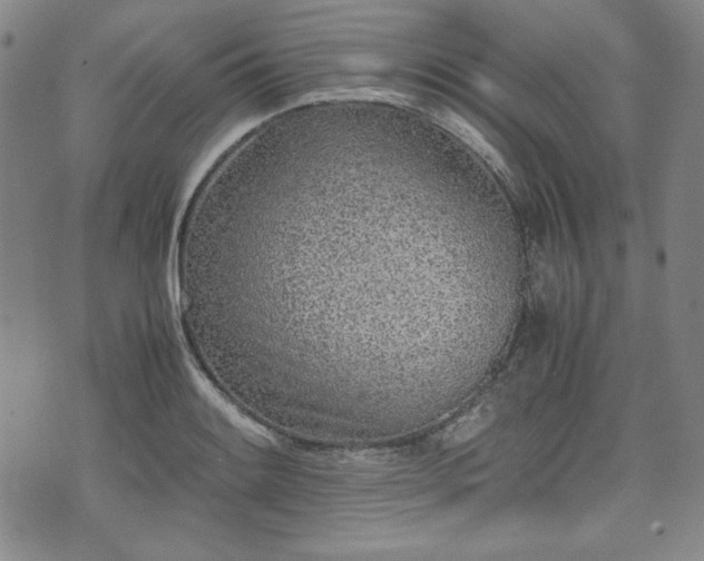 X0000073451084200608041022