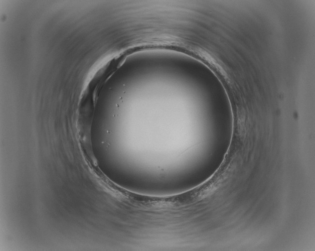 X0000073451085200608041021