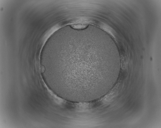 X0000073451087200608041021