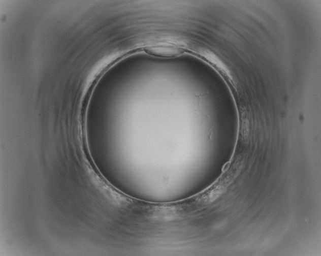 X0000073451088200608041021