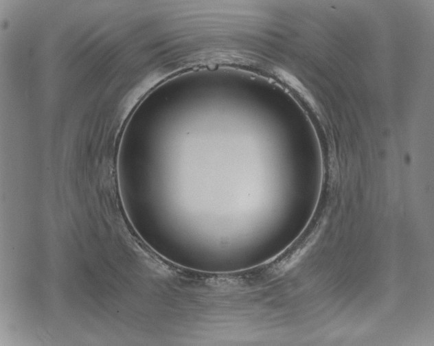 X0000073451089200608041021