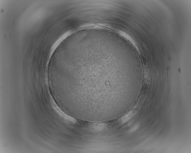 X0000073451090200608041021