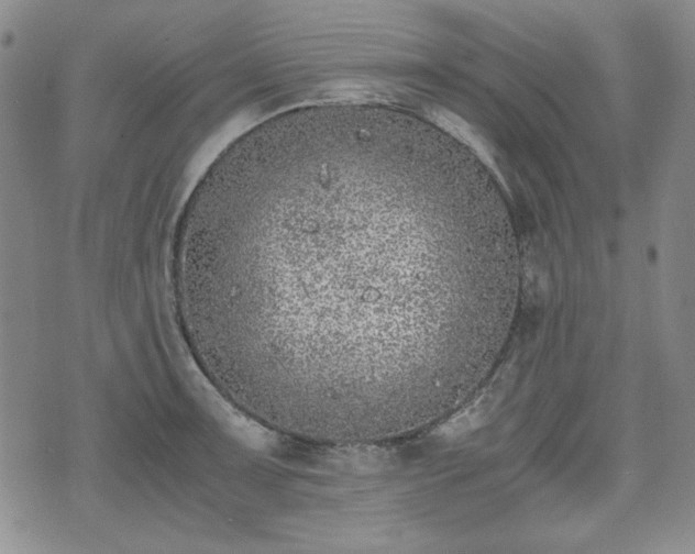 X0000073451091200608041021