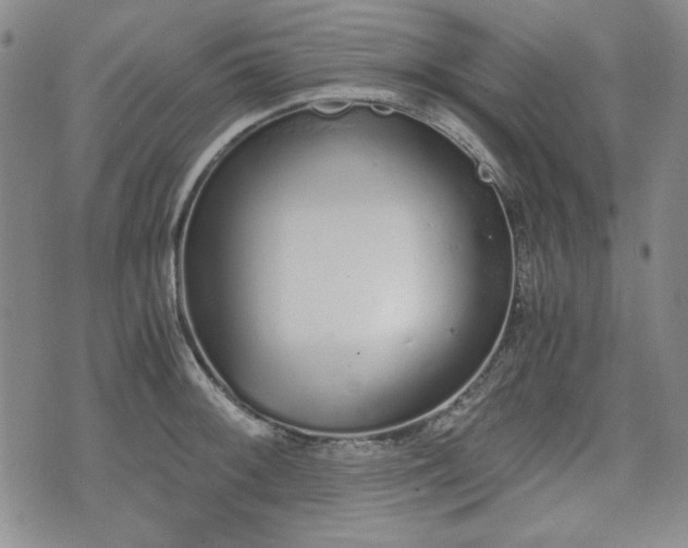 X0000073451092200608041021