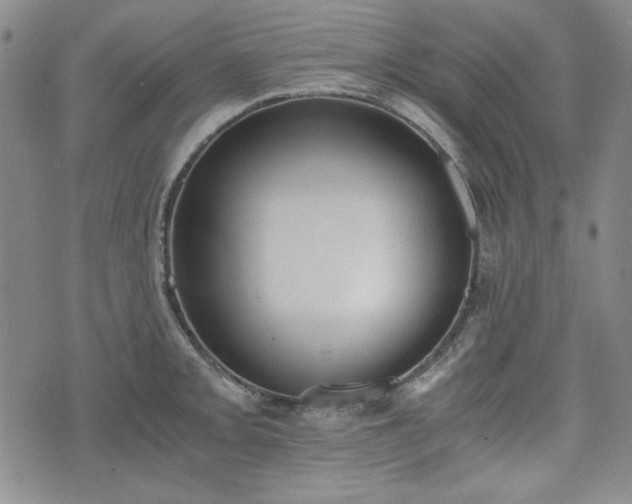 X0000073451093200608041021