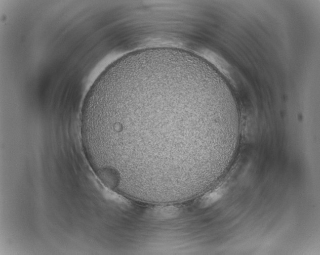 X0000073451094200608041021