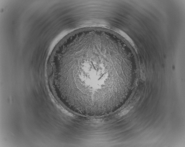 X0000073451096200608041021