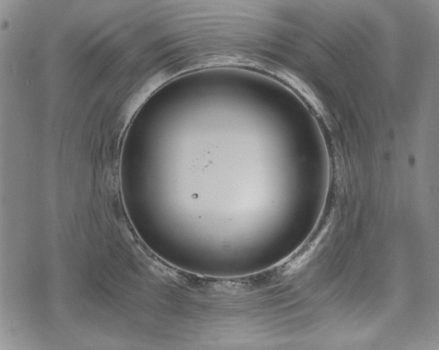 X0000073451097200608041021