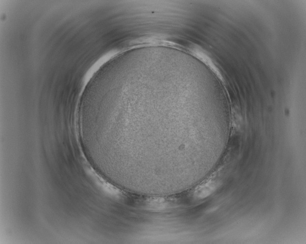 X0000073451098200608041021