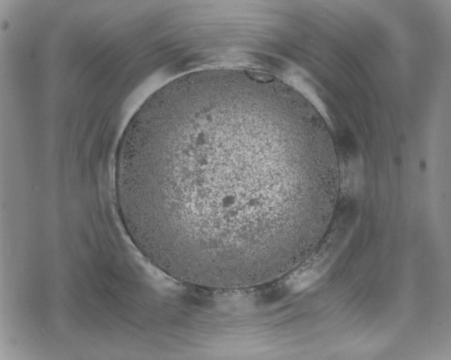 X0000073451099200608041021