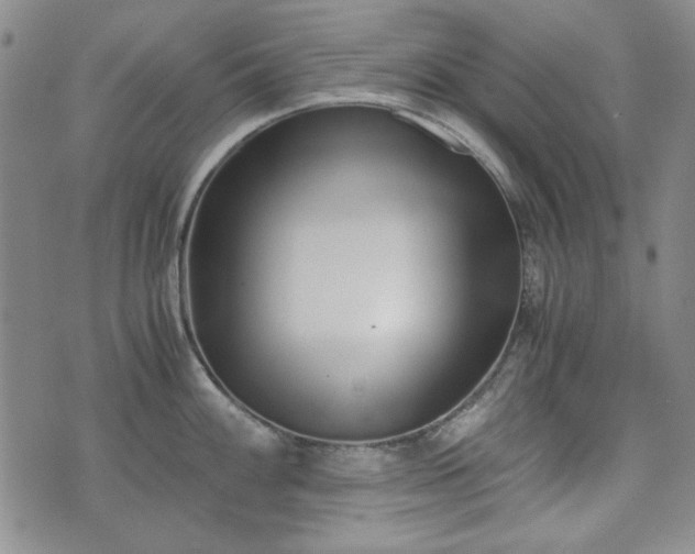 X0000073451100200608041021