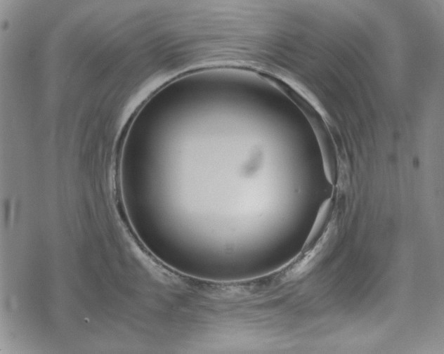 X0000073451101200608041021