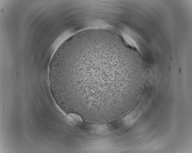 X0000073451103200608041021