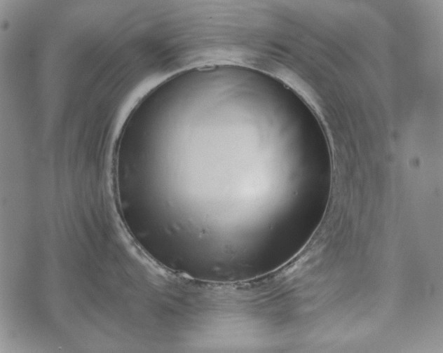 X0000073451104200608041021