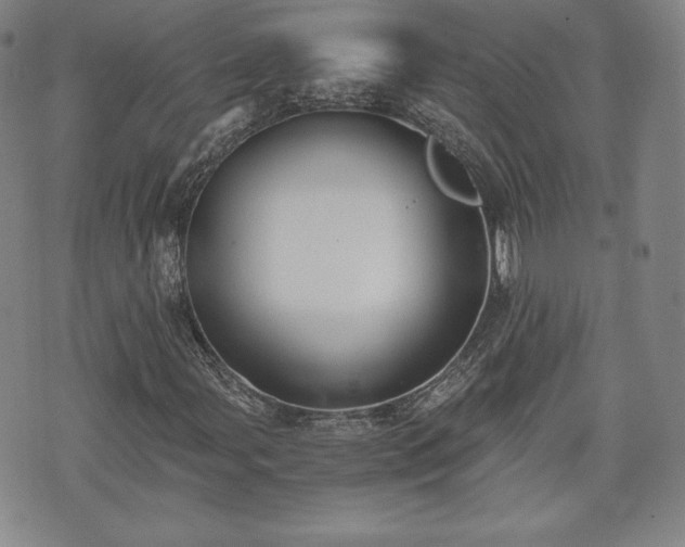 X0000073451107200608041020