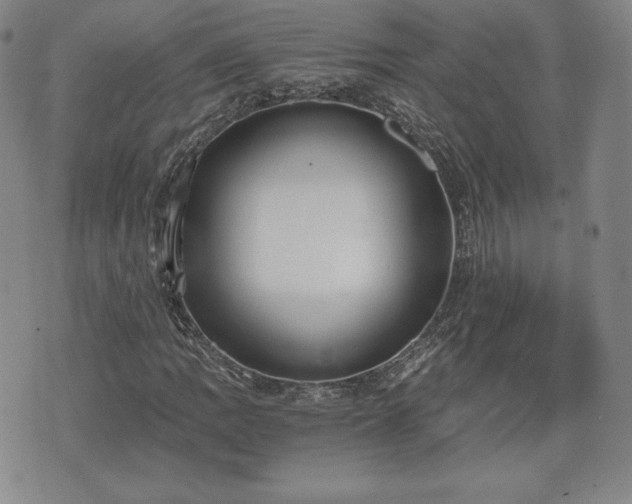 X0000073451109200608041020